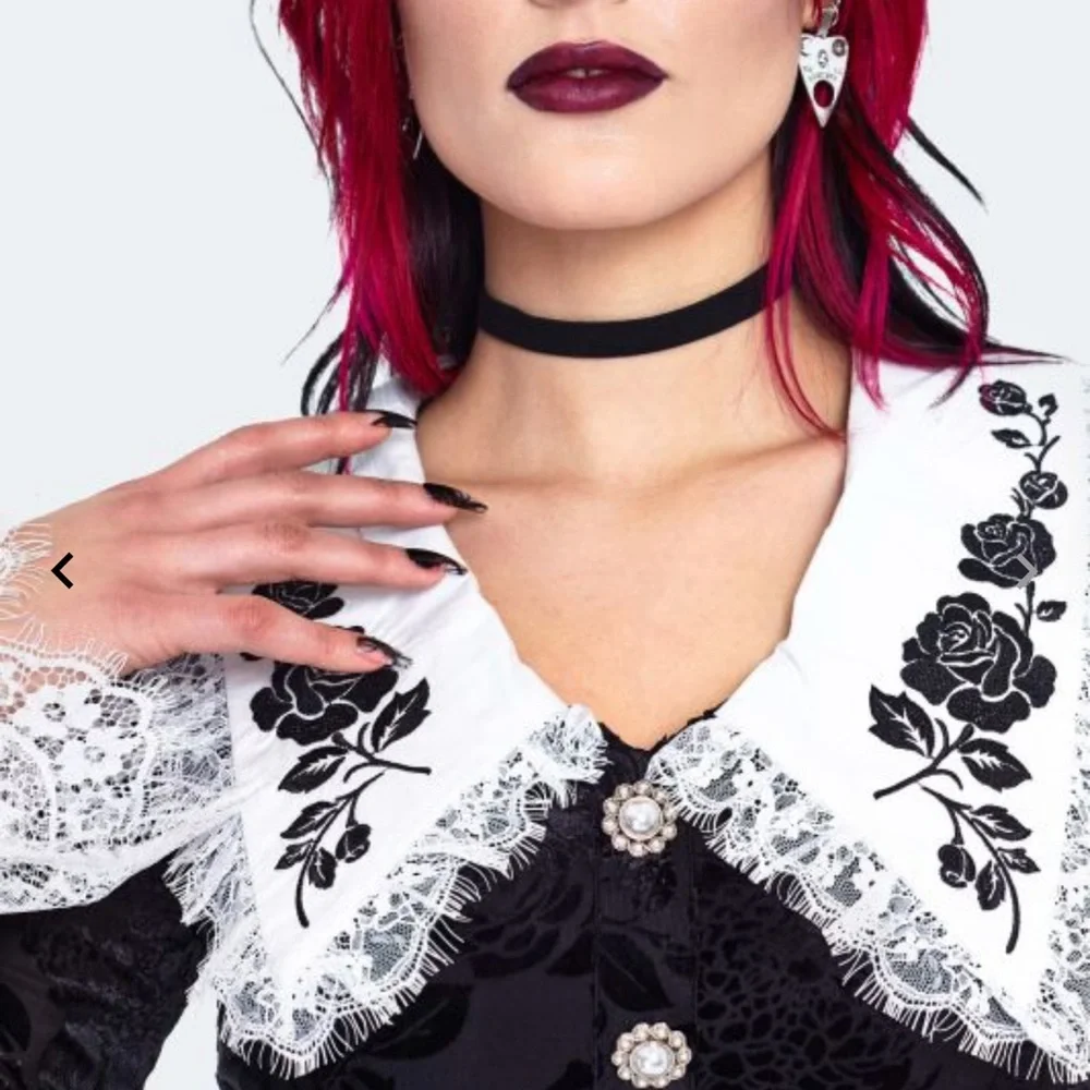 Jawbreaker Black Floral Lace Long Sleeve Velvet Devour Dress NWT - Picture 3 of 11